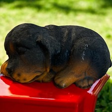 Rottweiler puppy dog for sale  La Porte