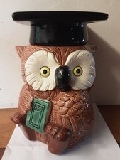 Owl graduation biscuit for sale  CARMARTHEN