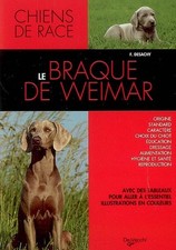 Braque weimar florence d'occasion  France