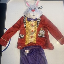Child white rabbit for sale Child white rabbit for sale  DOWNPATRICK
