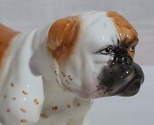 Royal doulton bone for sale  NEWCASTLE