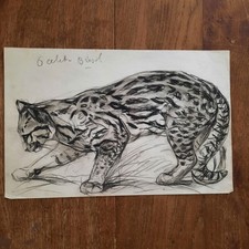 Dessin ancien animalier d'occasion  Paris XX