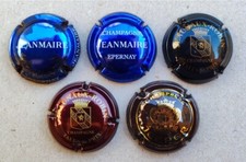 Capsule champagne caps usato  Roma