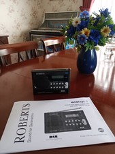 Roberts ecologic1 dab for sale  BASINGSTOKE