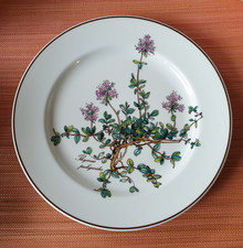 Botanica frühstücksteller hn gebraucht kaufen  Überherrn