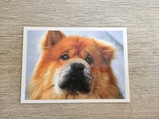 Chow chow hundepostkarte gebraucht kaufen  Borna