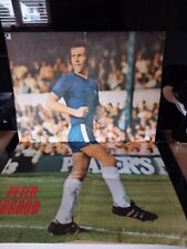 Peter osgood chelsea for sale  RAYLEIGH