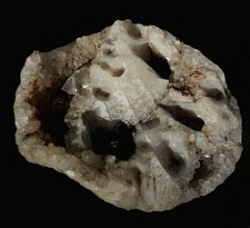 Mineralien edelstein sammlung gebraucht kaufen  Schwabmünchen