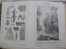 Antica stampa incorniciare usato  Salerno