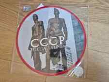 Vinile cccp compagni usato  Torino