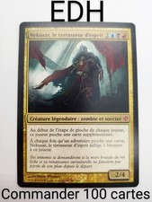 Mtg commander deck d'occasion  Rians