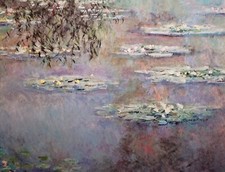 Claude monet water for sale  East Bethany