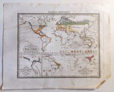 Mappa geografia commerciale usato  Roma