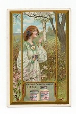Chromo liebig art d'occasion  Expédié en Belgium
