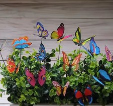 Piquets papillon eau d'occasion  Audruicq