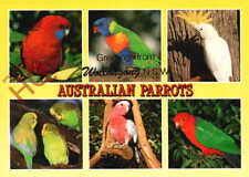 Picture postcard australian for sale  NEWCASTLE UPON TYNE