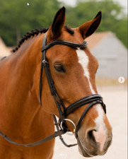 Select snaffle horse for sale  Farmington