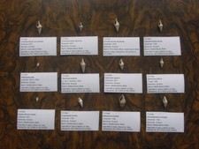Labelled different bartonian for sale  RINGWOOD