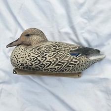 Mallard hen duck for sale  Dunmore