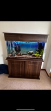 180l aquarium fish for sale  THETFORD