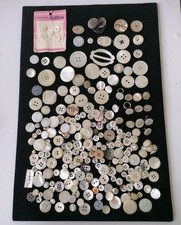 pearl shank buttons for sale pearl shank buttons for sale TELFORD