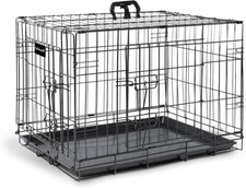 Brand new dog for sale  MANCHESTER