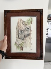 Vintage 70s raccoon for sale  Orem