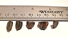 Museum quality large for sale  Burnet