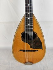 Mandolino domenico cerrone usato  Vaiano Cremasco