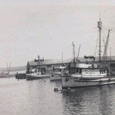 Vintage photo monterey for sale  Seal Rock