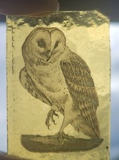 Stained glass owl for sale  BATTLE