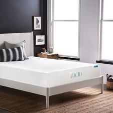 Lucid inch medium for sale  Whippany