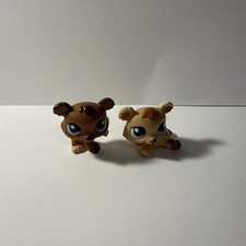 Hasbro littlest pet for sale  New Port Richey