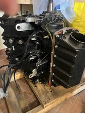 Blocco motore evinrude usato  Reggio Calabria