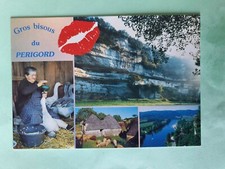 Carte postale dordogne d'occasion  Grande-Synthe