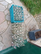 Mostflaschen saftflaschen eink gebraucht kaufen Mostflaschen saftflaschen eink gebraucht kaufen  Wernigerode