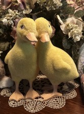 Spring easter ducklings for sale  Canoga Park