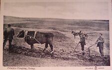 C1910 orkney primitive for sale  INNERLEITHEN