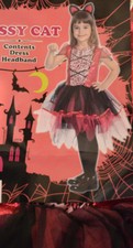 Girl halloween sassy for sale  Booneville