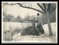 Foto ww2 art gebraucht kaufen  Grammetal