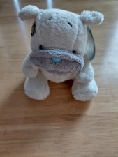 Blue nose friends for sale  HOLYWELL
