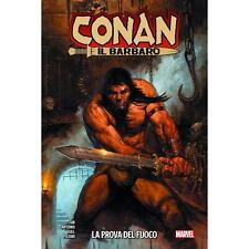 Conan barbaro prova usato  Treviso