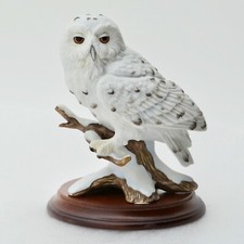 Maruri snowy owl for sale  Hastings
