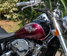 Kraftstofftank kawasaki 800 gebraucht kaufen Kraftstofftank kawasaki 800 gebraucht kaufen  Heppenheim (Bergstraße)