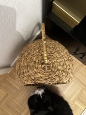 Silvio design katzen gebraucht kaufen  Dietzenbach