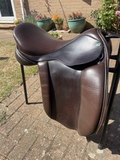 Inch native pony for sale  KING'S LYNN