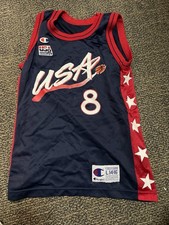 Scottie pippen usa for sale  Clinton Township