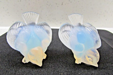 Reduced two sabino for sale  STRANRAER
