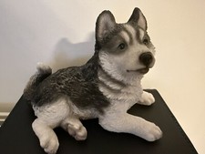 Vivid arts husky for sale  NEWQUAY
