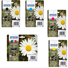 Epson t1801 t1802 usato Epson t1801 t1802 usato  Campagna